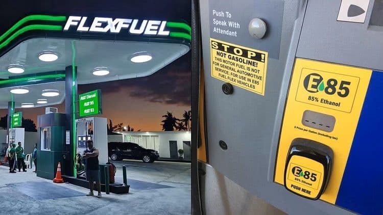 Are Flex-Fuel Vehicles the solution to contain the rising emission problems?
